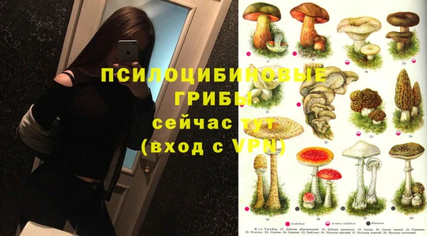 дмт Зерноград