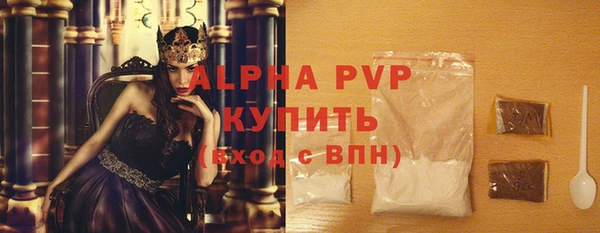 гидра Покачи